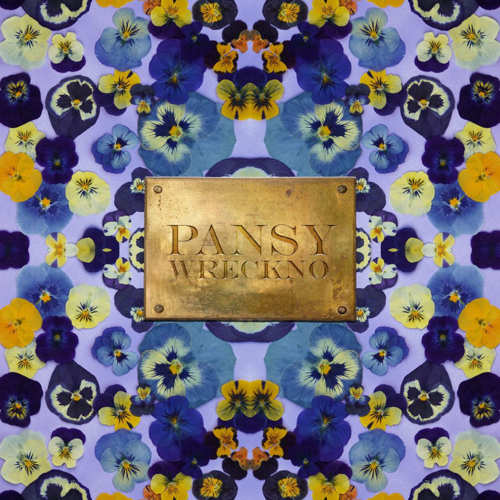 Wreckno Pansy EP