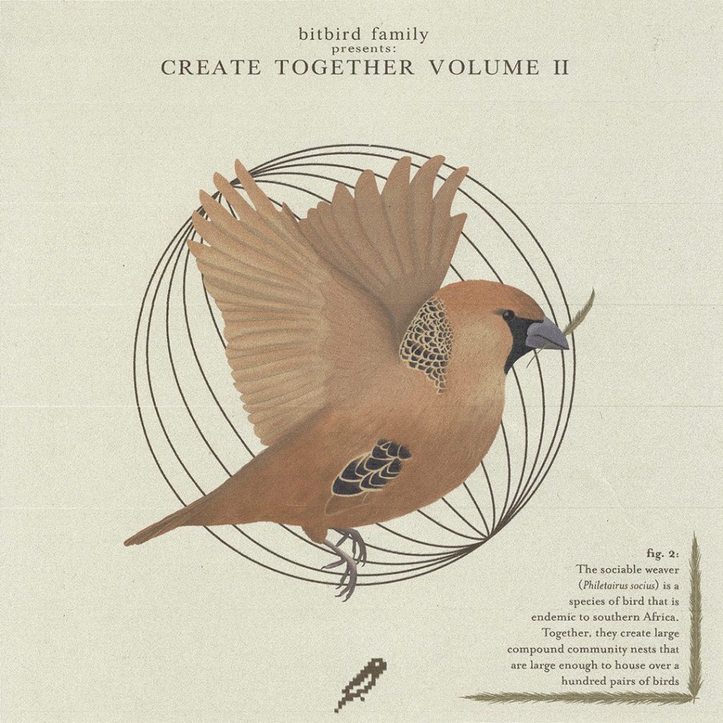 bitbird create together vol.2