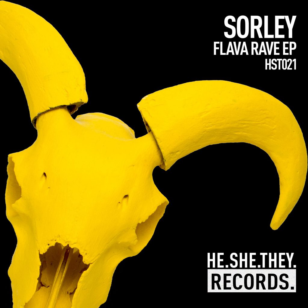 Sorley Flava Rave EP