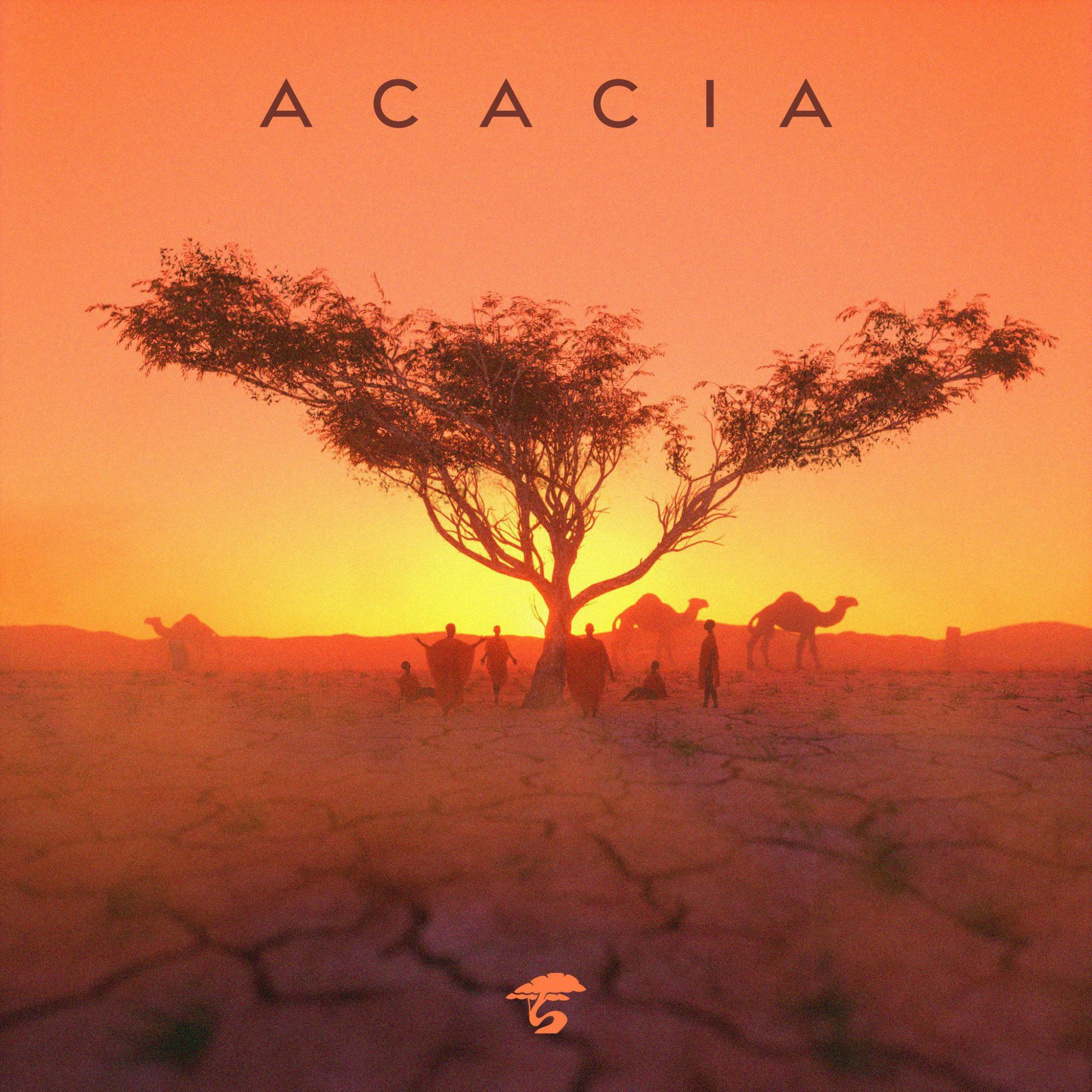 Bonsai Collective Releases Multifaceted Compilation, 'Acacia' EDM