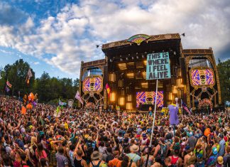 Electric Forest 2019