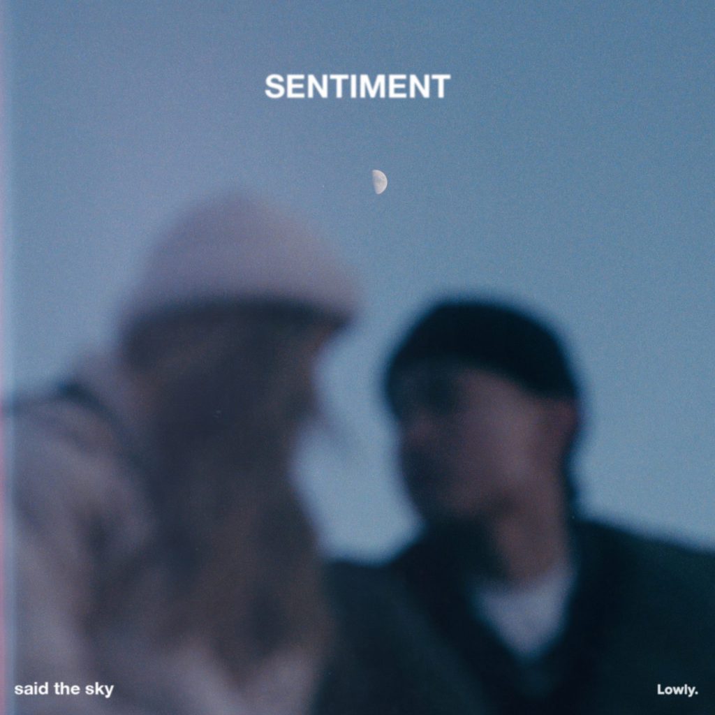 Said The Sky - Sentiment