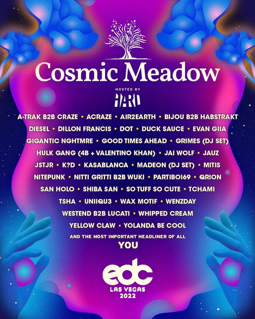 Treat Yourself To The Eclectic Sounds Of Cosmicmeadow Before Edclv 2022