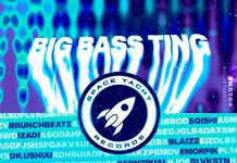 Space Yacht - Big Bass Ting Vol. 3
