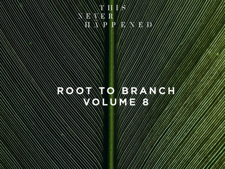 This Never Happened - Root to Branch, Vol. 8