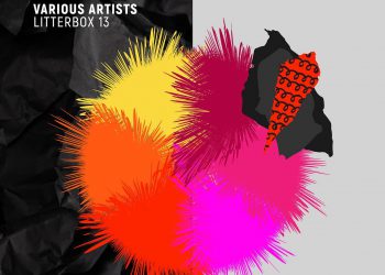 Box Of Cats Litterbox 13