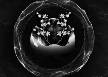 Desert Hearts Black Best Of 2022