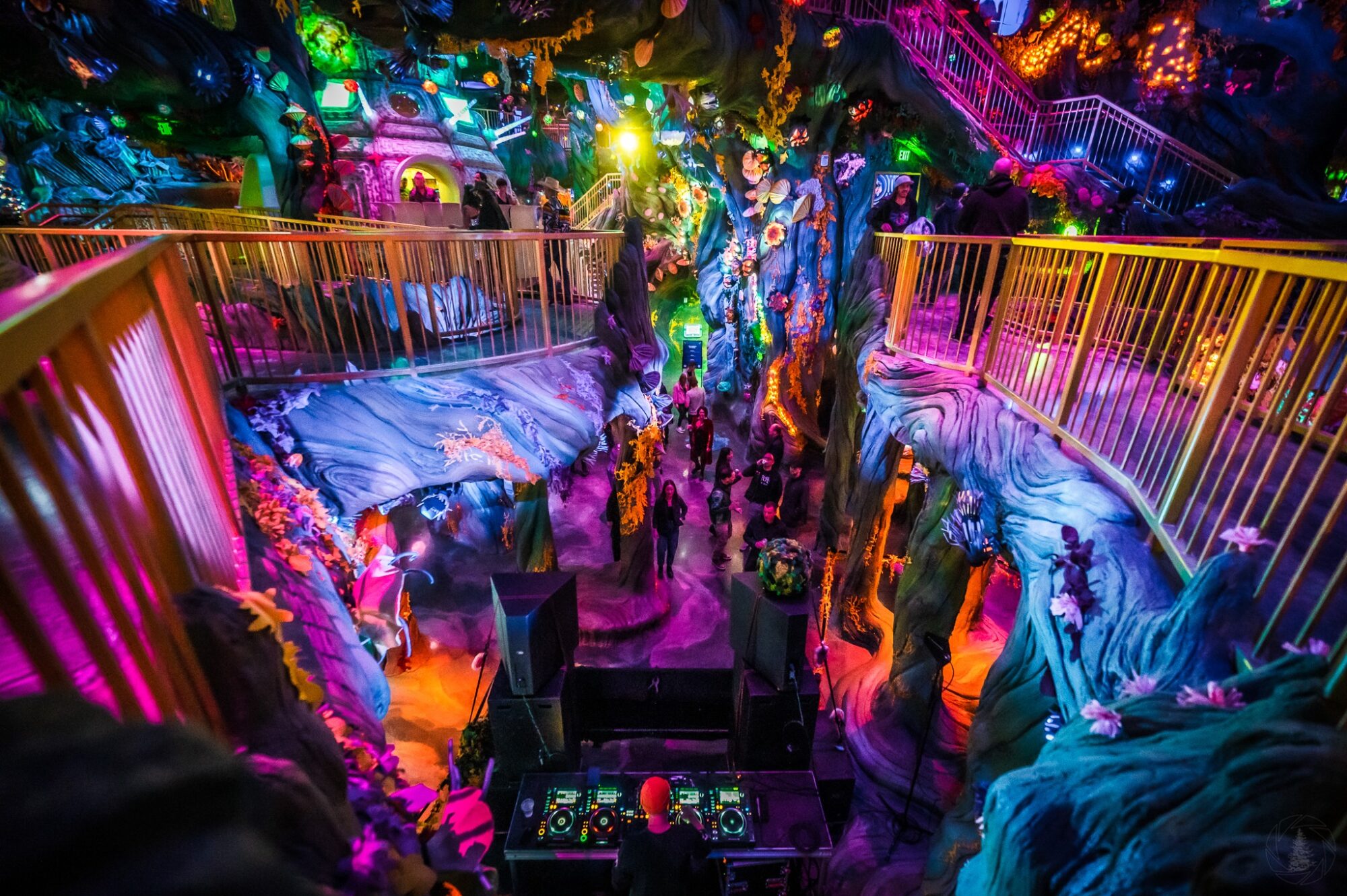 meow wolf denver about