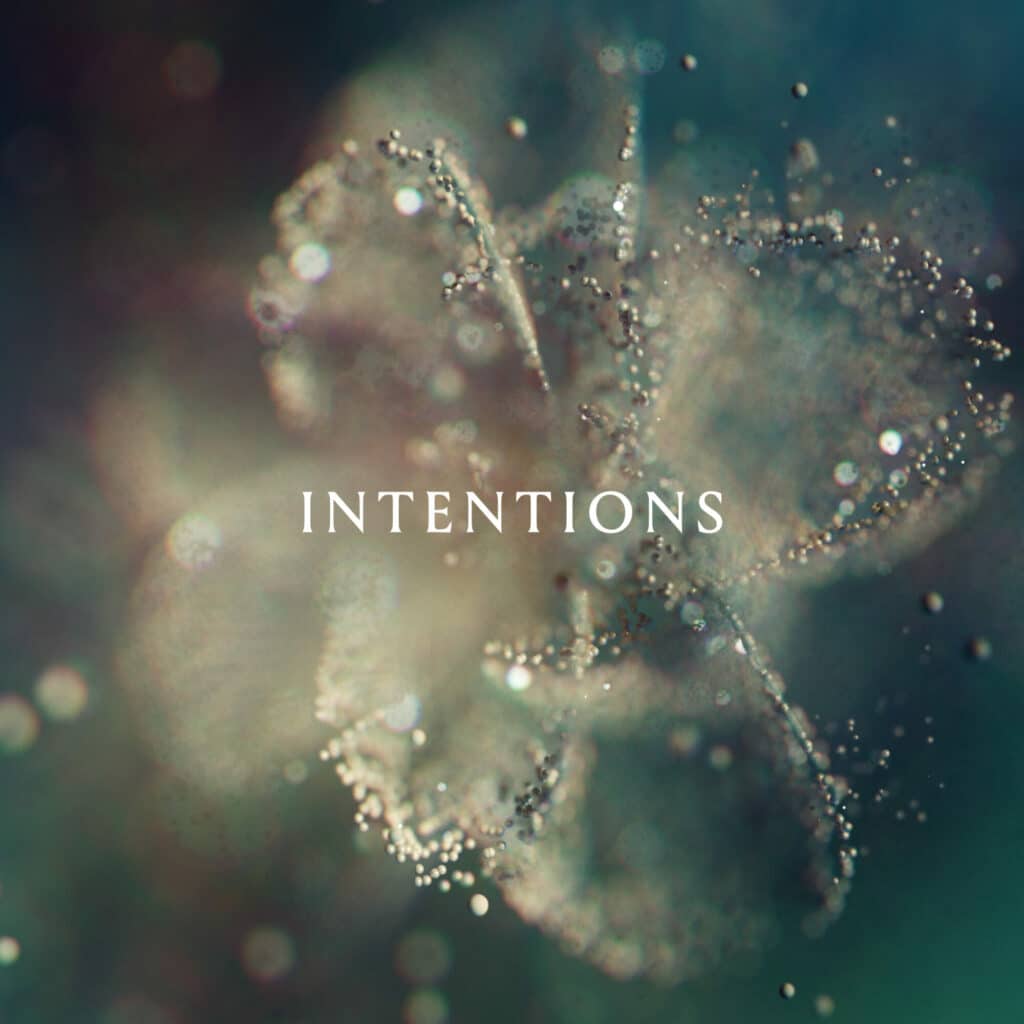 ANNA - Intentions
