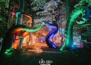 big dub festival 2022