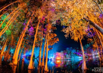 Suwannee Hulaween 2022