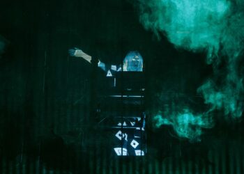 Whyte Fang at Coachella 2023