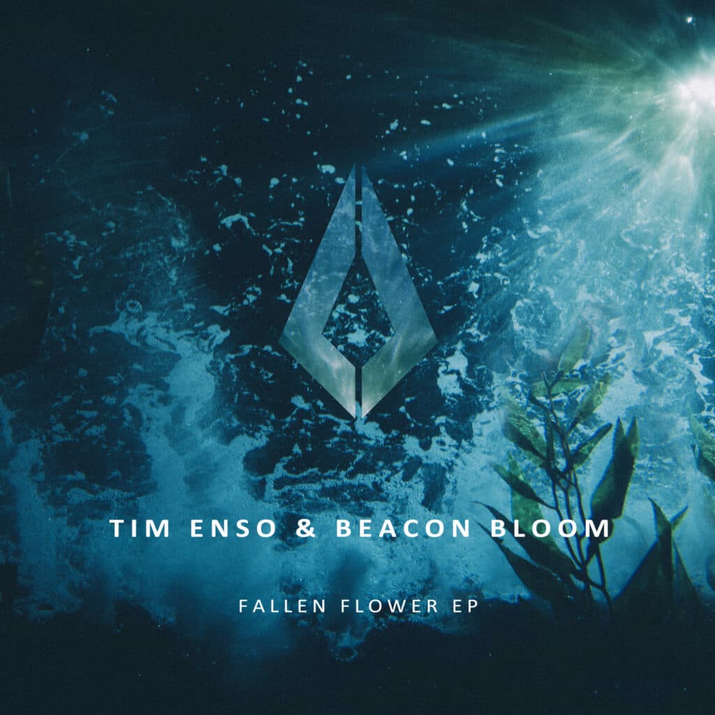 Tim Enso & Beacon Bloom Fallen Flower