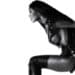 Honey Dijon
