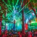 Day Zero Tulum 2023
