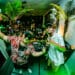 J. Slai B2B Rollz Royce at Rumble In The Jungle
