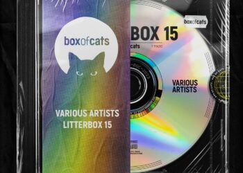 Box of Cats Litterbox 15