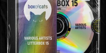 Box of Cats Litterbox 15