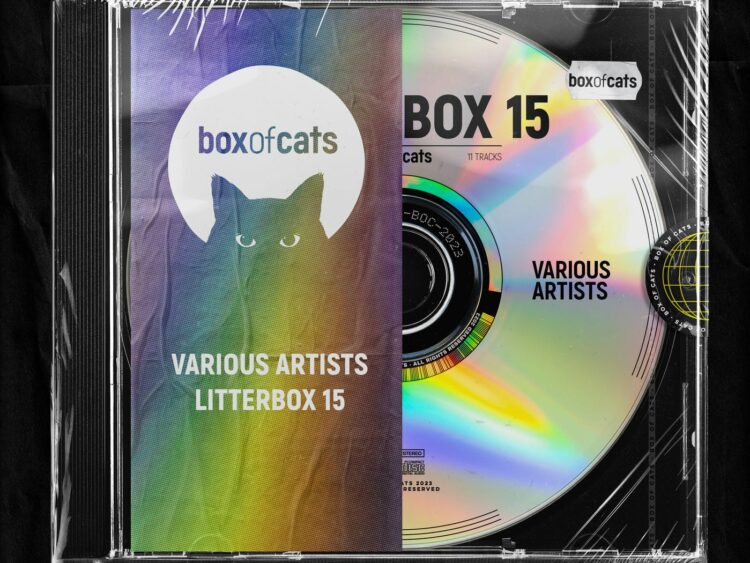 Box of Cats Litterbox 15
