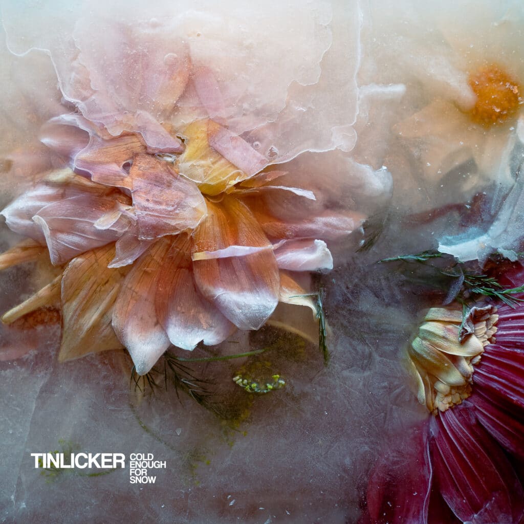 Tinlicker Cold Enough For Snow Album Art