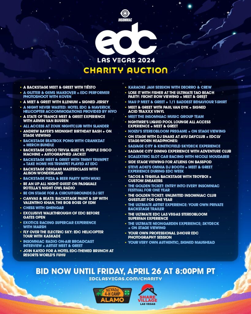 EDC Las Vegas 2024 Charity Auction