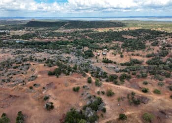 Texas Eclipse Festival 2024