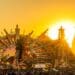 EDC Mexico 2024
