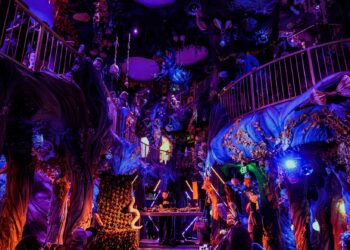 BASS INVATION MEOW WOLF