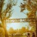 Dirtybird Campout 2022