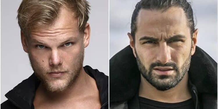 Avicii Ash Pournouri