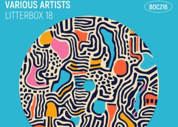 box of cats litterbox 18