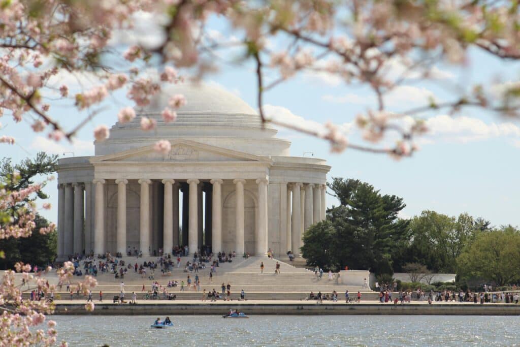 Cherry Blossoms Frame Jefferson Memorial in Spring