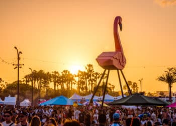 Day Trip Festival 2025