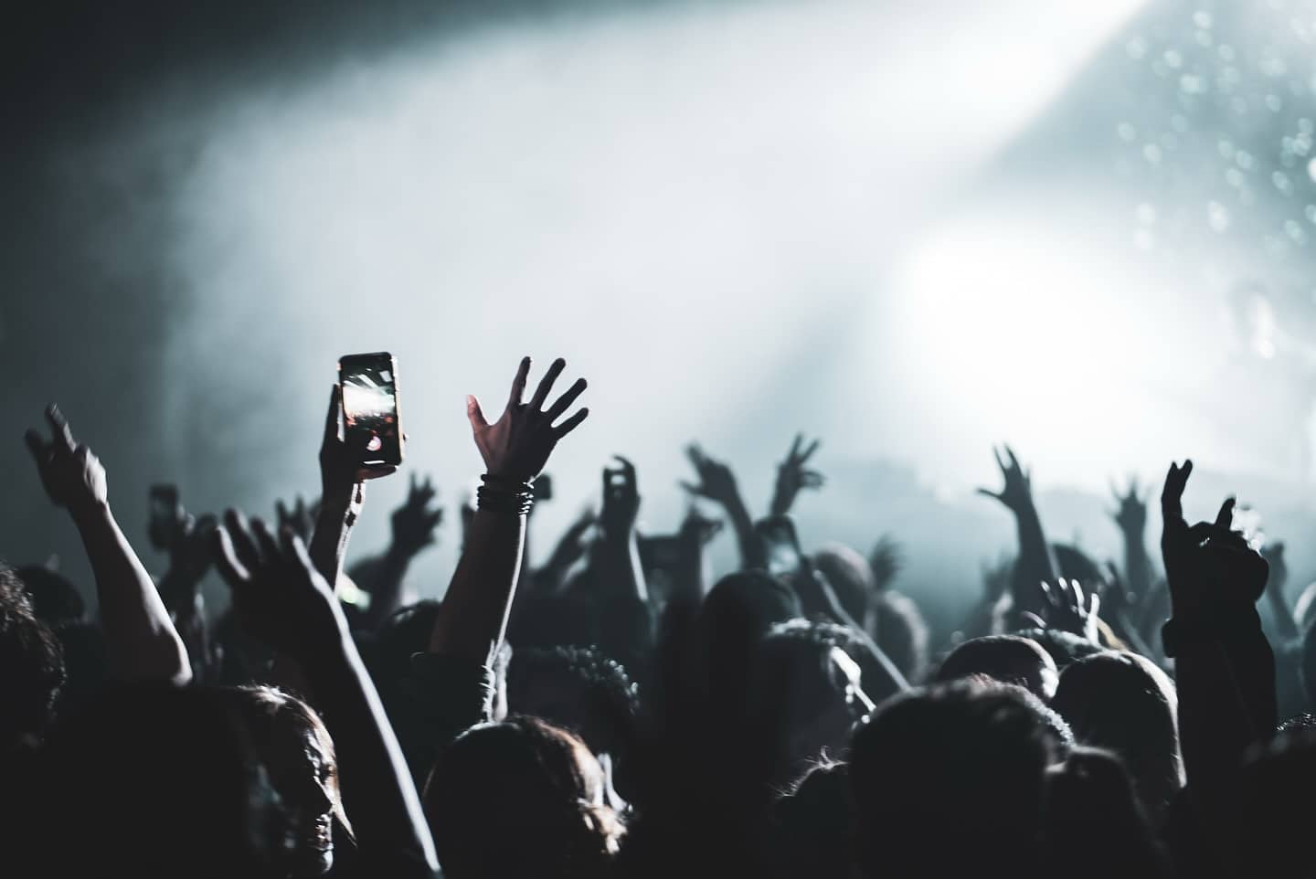 KN¿where Festival Postpones Edition at Raven’s Knoll, Moves to Toronto