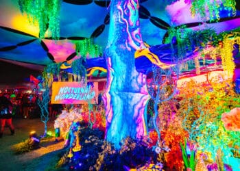 Nocturnal Wonderland 2025