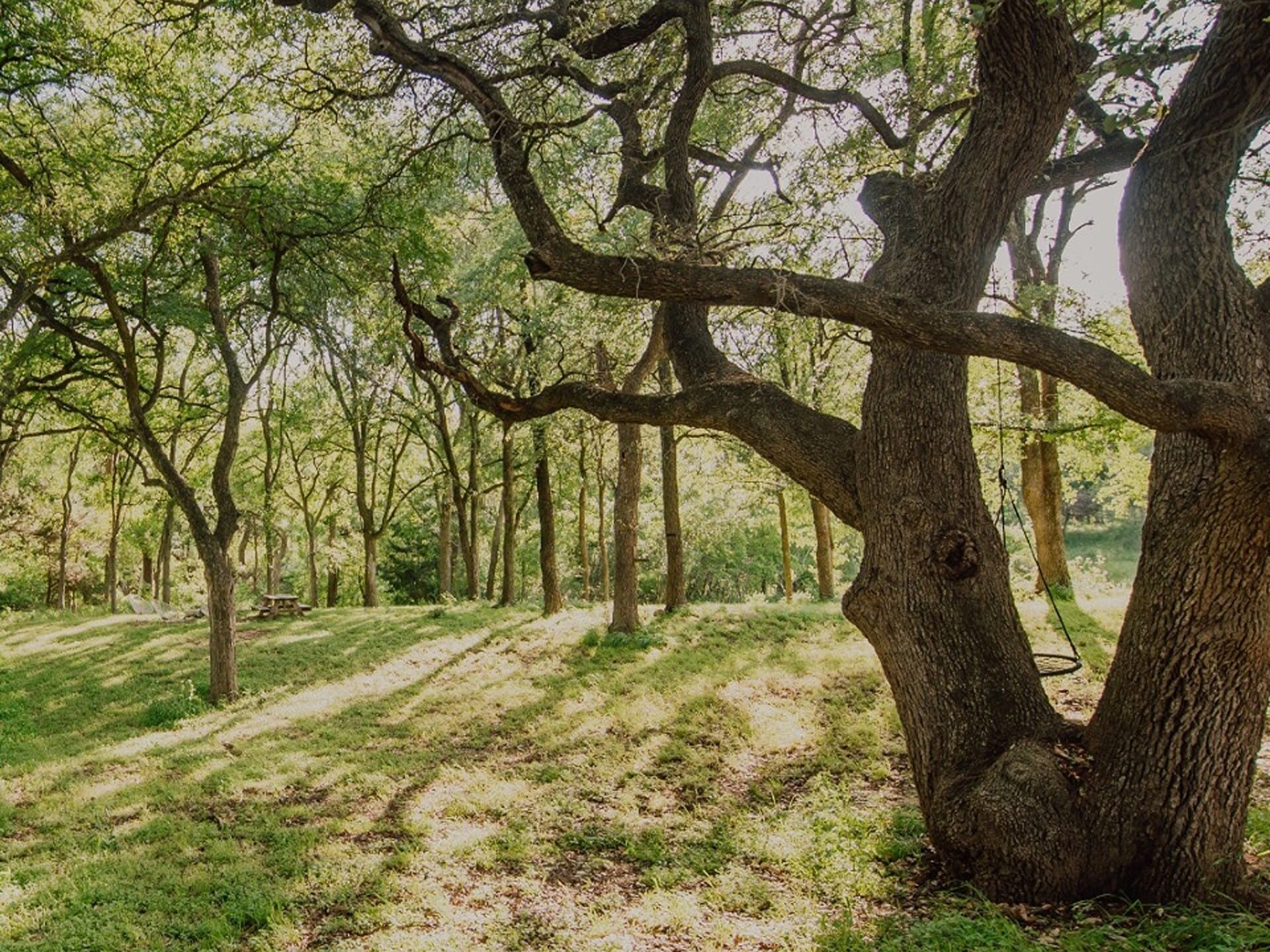 Wicked Oaks Keeps Campgrounds Closed Due to Severe Weather Warning