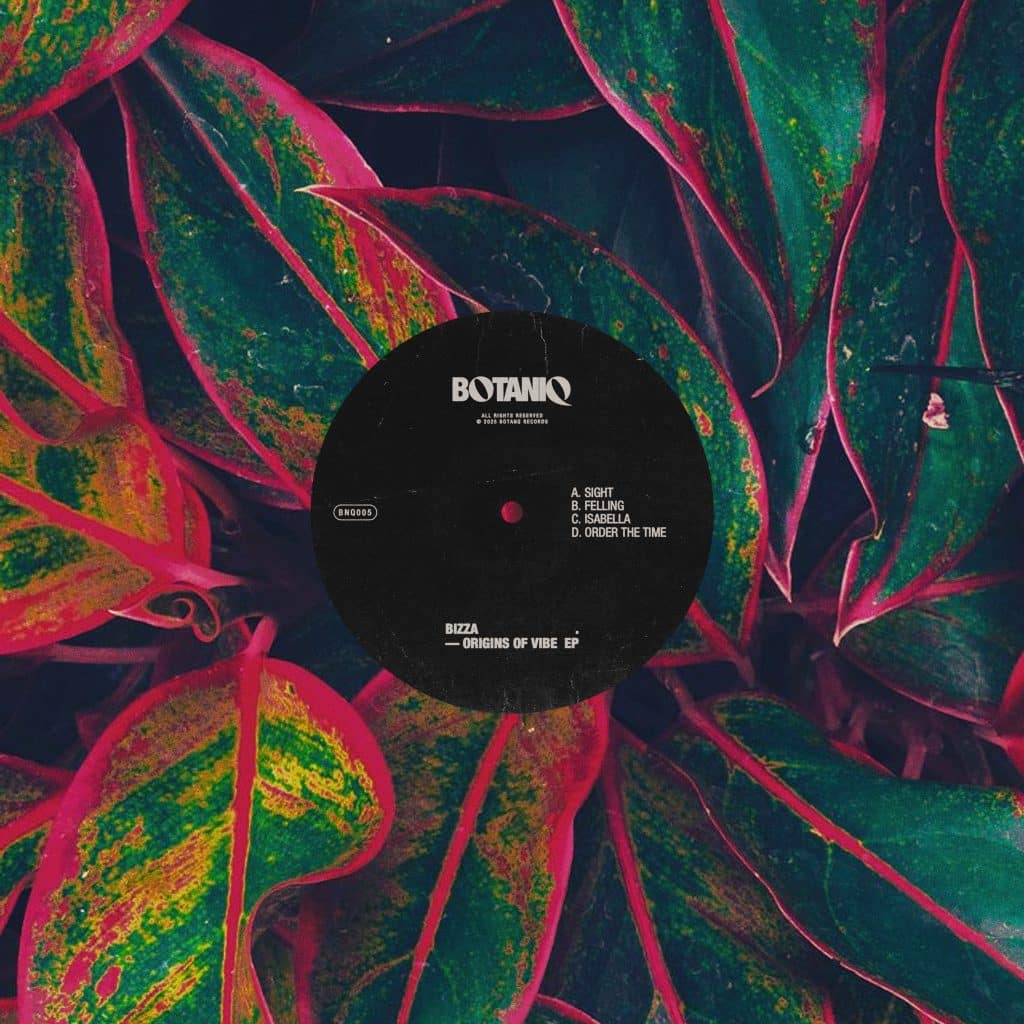 BizZa - Origins Of Vibe EP