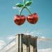 Pacha New York Cherry Brooklyn Bridge